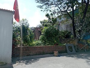 chính chủ cần tiền gửi bán gấp mảnh đất đẹp trục chính kinh doanh. thôn du nội, mai lâm, đông anh