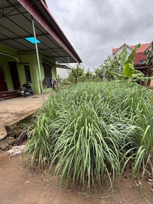 bán đất tại xã liên nghĩa, văn giang, hưng yên, 18 triệu / m2, 229.3 m2