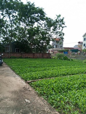 bán mảnh đất vuông đẹp tại kiêu kỵ, gia lâm, diện tích 80m2, ô tô đỗ cổng, chỉ hơn 3 tỷ!