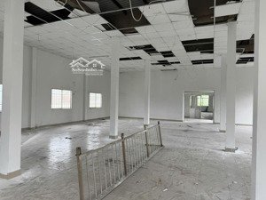 cho thuê nhà xưởng diện tích 1000m tại thái thị giữ hóc môn thành phố hồ chí minh