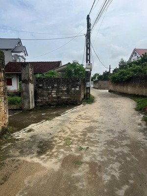 bán đất tại xã đông các, đông hưng, thái bình, giá siêu hời 30 triệu / m2, 118 m2