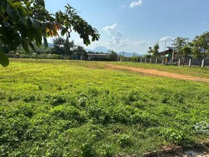 bán đất liên sơn lương sơn hòa bình 3243m2, giá 9,4 tỷ