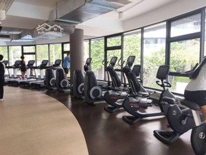 chính chủ cần cho thuê gấp căn hộ cao cấp cộng hòa plaza, dt: 100m2, 3 pn, 2wc, ntcc, giá: 16tr/th