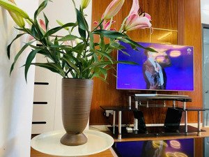 bán căn góc chung cư ct4a vĩnh điềm trung