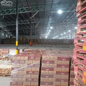 Cho thuê kho xưởng bãi 10.500m² kho xây dựng 7.000m² có PCCC tự động, đường Võ Nguyên Giáp, Q. Cái Răng, TP. Cần Thơ, lộ Container