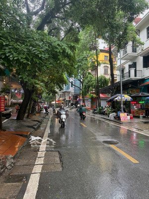 bán nhà mặt phố trần quang diệu - vip đống đa - khu hiếm nhà bán - kinh doanh sầm uất - 33m*6t !