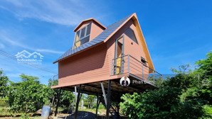chính chủ bán khu ngỉ dưỡng gần khu du lịch bình chầu. có nhà với bungalo, hồ cái koi, cây ăn trái