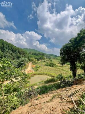 BÁN ĐẤT 801M FULL ĐẤT Ở VIEW CÁNH ĐỒNG TẠI YÊN THỦY - HB