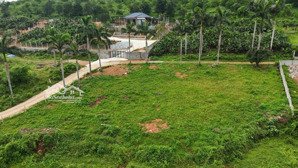 cơ hội vàng lô góc vip yên bài 1.668m2 chỉ 8 tỷ (5tr/m2)