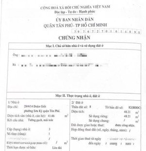 bán nhà đoàn giỏi, đi bộ aeon tân phú vài bước chân, 4.2x12; 48.21m2