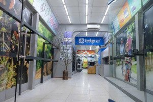 cho thuê nhà mặt phố dương khuê, vị trí đắc địa, đoạn đẹp, sầm uất, diện tích 45m2x3 tầng, giá 45tr