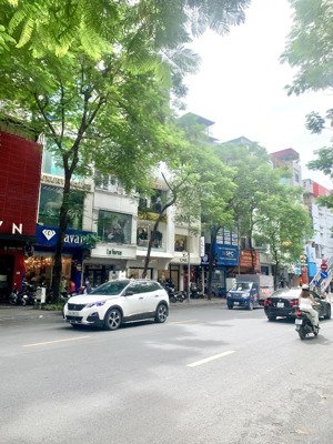 siêu hiếm - vị trí kim cương - mặt phố thái hà - 77m x 5 tầng x mt 4m - giá 70 tỷ