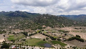 bán đất tại đường 709, xã phước dinh, thuận nam, ninh thuận, 2 triệu / m2, 26395 m2