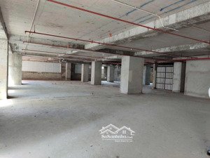 cho thuê mặt bằng sàn thương mại tại chung cư belleza quận 7