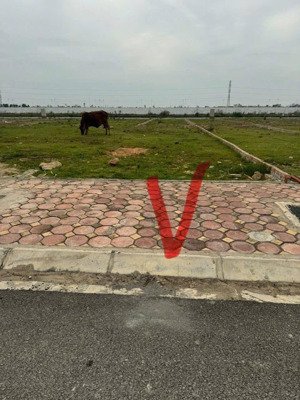 đất đấu giá nằm giữa cụm 3 kcn mà giá chỉ hơn 5x