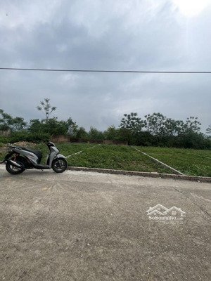 bán đất tại minh phú, sóc sơn, hà nội, 3,25 tỷ, 127m2