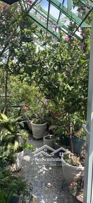 nguyễn đình chiểu, q1 5 tầng + trệt + hầm + sân thượng thoáng mát / 33 tỷ tl