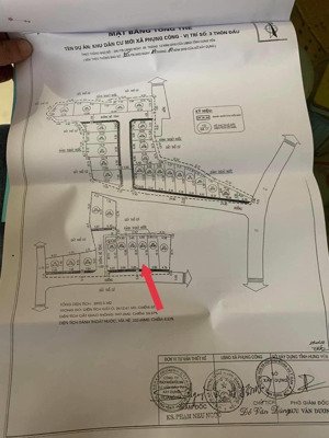 anh zai nhượng lại lô đấu giá làng hoa phụng công