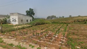 tìm chủ mới cho lô đất đẹp 580m² (100m² thổ cư) tại xã nam hà giá tốt