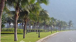 vip! bán đất 290m2 - 81,99 tỷ - mt hoàng sa - q. sơn trà