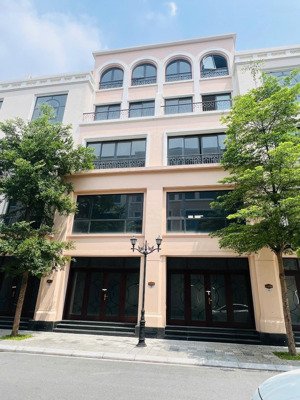 bán lô góc tmdv sao biển 96m² vinhomes ocean park, gần biển hồ, giá 15.5 tỷ