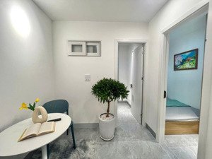 bán ccmn miếu đầm - 12 phòng - doanh thu 85tr/tháng - dt 60m x 7 tầng - 14.9 tỷ