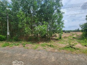 bán gấp lô đất khá vuông vức, mt nhựa 5m, hắc dịch, tp phú mỹ, brvt