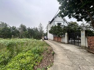 chính chủ cần bán đất nền tân xã