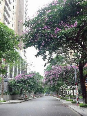 cho thuê sàn thương mại tầng 1 chung cư vimeco ct4 nguyễn chánh, cg. dt sử dụng 130m. lh 