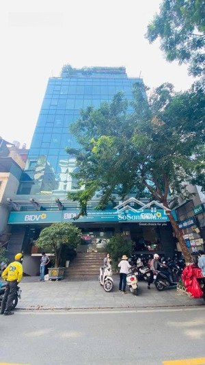 bán tòa văn phòng mặt phố vũ tông phan, 310m2, 10t, mặt tiền 11m, vỉa hè, dòng tiền 5 tỷ/năm!