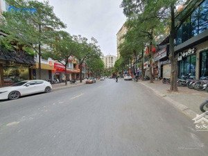 vị trí đẹp nhất phố đại kim - nguyễn cảnh dị, vỉa hè rộng, dt 60m*4 tầng, nhà mới sơn sửa, 22tr/th
