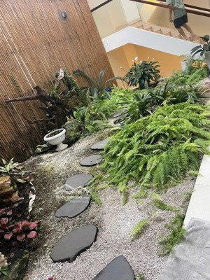 chủ đi định cư bán gấp căn biệt thự sân vườn, 360m2, kdc sadeco phước kiểng, đối diện trường rmit