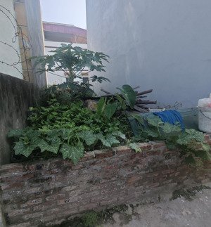 bán đất đông mỹ, thanh trì 44m2, đường thông, ô tô vào đất, giá đầu tư, 2 tỷ 850