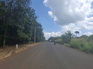 bán gấp đất mặt tiền tỉnh lộ 744 định an, dầu tiếng