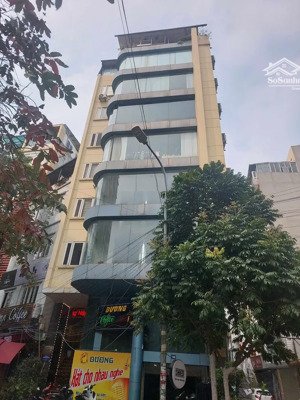 khách sạn 3 sao trần thái tông,158m²,mt 8,1m,dòng tiền 300tr/th,giá 71 tỷ