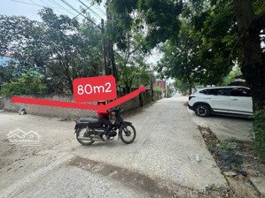 80m2 mặt trục chính bạch nao - thanh văn- kinh doanh - ô tô tránh - giá đầu tư- đón đầu siêu dự án