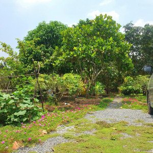 nhà vườn phước lâm - cần giuộc. diện tích 607m2 có sẵn 100m2 thổ cư đường xe hơi gần ql50b, giá tốt