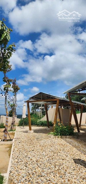 ngộp lổ căn homestay đà lạt mua là lời view đep sổ sáng tên