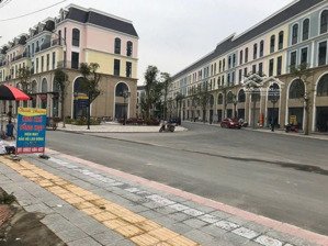 bán đất thổ mặt đường chính vỉa hè kinh doanh đối diện vinoceanpark - kinh doanh bất chấp