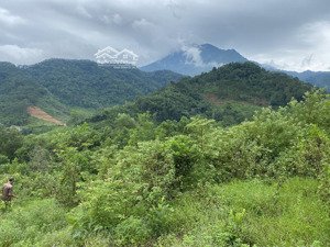 lô đất quá đẹp, quá rẻ, cơ hội hiếm có cho bác nào làm homestay, diện tích tới 1.5 ha mà chỉ 4.5 tỷ