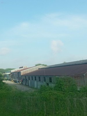 hot! bán 59.120m² đất mặt tiền ql1a, thôn hồng liêm - vị trí vàng, đầu tư sinh lời ngay!