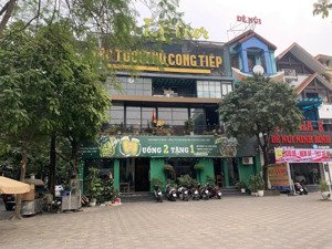 cho thuê nhà phố trần thái tông - cầu giấy, 45tr, 80m2x4t. mt 4m phù hợp, spa, nhà hàng, văn phòng