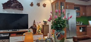 bán nhà 4 tầng hà huy tập, gara - kinh doanh - ô tô thông - nhà đẹp - giá tốt