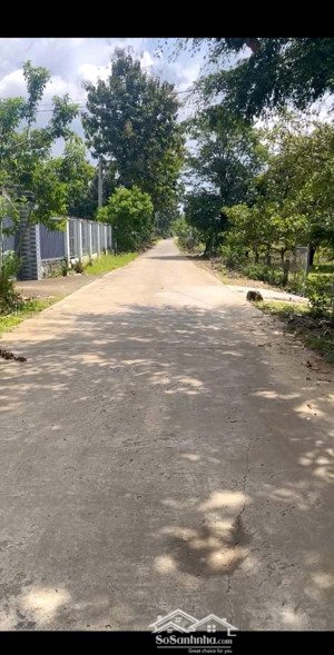 đất vườn đang trồng cây ăn trái: dt: 1751m2 tại tà lài, tân phú, đồng nai, giá 1,4 tỷ, bán gấp