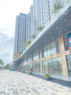 shophouse 3 lầu hoàn thiện cơ bản vũng tàu centre point. dt sàn 211m2. chỉ 11,5 tỷ. lh 