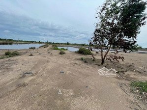 bán đất tại lý nhơn, cần giờ, hcm, 1,9 triệu/m2, 1405 m2 - chính chủ