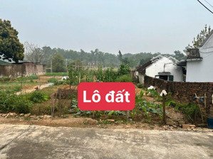bán đất tại xã hướng đạo, tam dương, vĩnh phúc, 1tỷ390tr, 208m2 full thổ cư