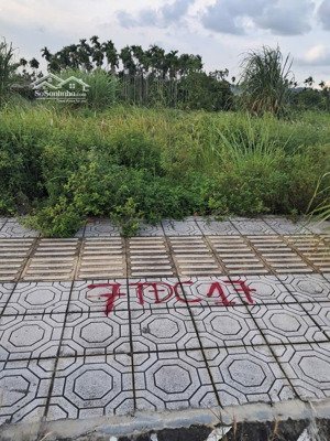 60m2 tái định cư hoa động, thuỷ nguyên, hải phòng. giá 3,35 tỷ