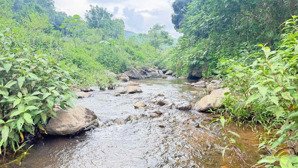 do ko có nhu cầu sử dụng lên gia đình e muốn cắt bán 1700m siêu đẹp bám suối to tại cư yên