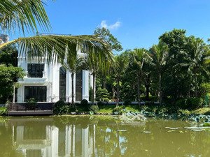 chính chủ gửi bán biệt thự đảo ecopark grand hướng tây bắc, diện tích 500m2